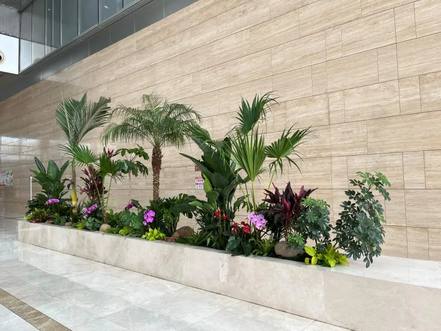 余姚绿化养护，价格亲民实惠，给你超高性价比服务！